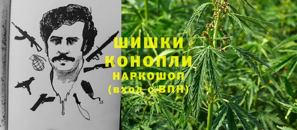 дмт Пенза