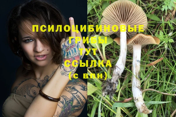 мескалин Барнаул