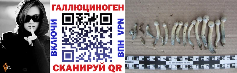Купить где  Олёкминск  Псилоцибиновые грибы прущие грибы 